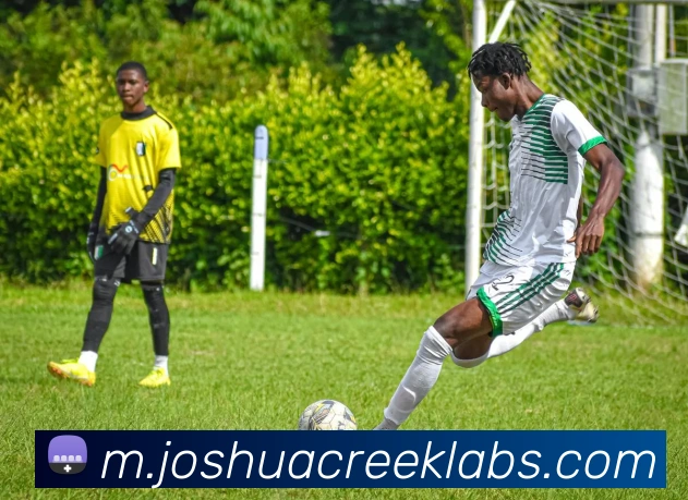 APP界面展示